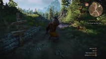 The Witcher 3 funny bug