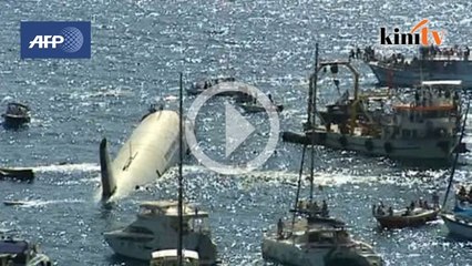 Airbus A300 ditenggelamkan tingkat pelancongan