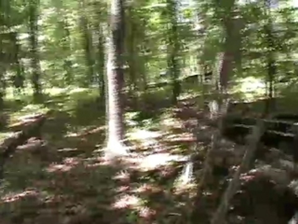 6:30:07 Ramapo Mountain State Forest