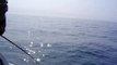 大型マガレイ釣り2007 ～第3回戦～ 2007/06/10 part1