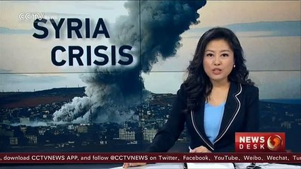 Damascus receives first European aid