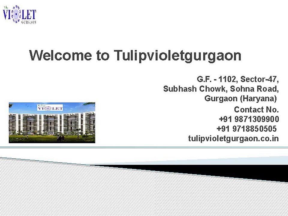 Tulip Violet Sohna Road | Tulip Violet Construction Update - Tulipvioletgurgaon.co.in
