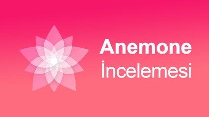 Anemone İncelemesi | WinterBoard Alternatifi