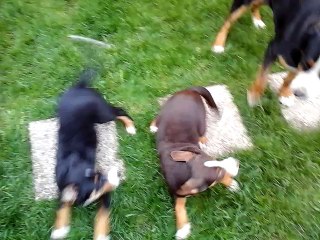 Bébés Hana x Gamiro - 3 mois