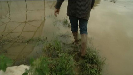 Qui va bénéficier du "fond d’extrême urgence" mis en place par le gouvernement ? - Le 06/06/2016 à 14h00