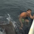 Um homem quase é mordido por um tubarão!