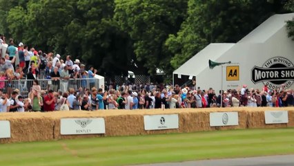 300 Million Dollar  Worth of Mercedes 300 SLR Show off