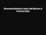 PDF Ultrasound Anatomy of Lower Limb Muscles: A Practical Guide Ebook Online