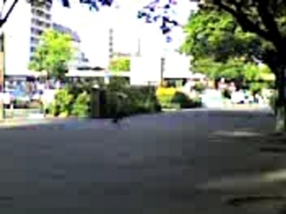 Gamelle en roller