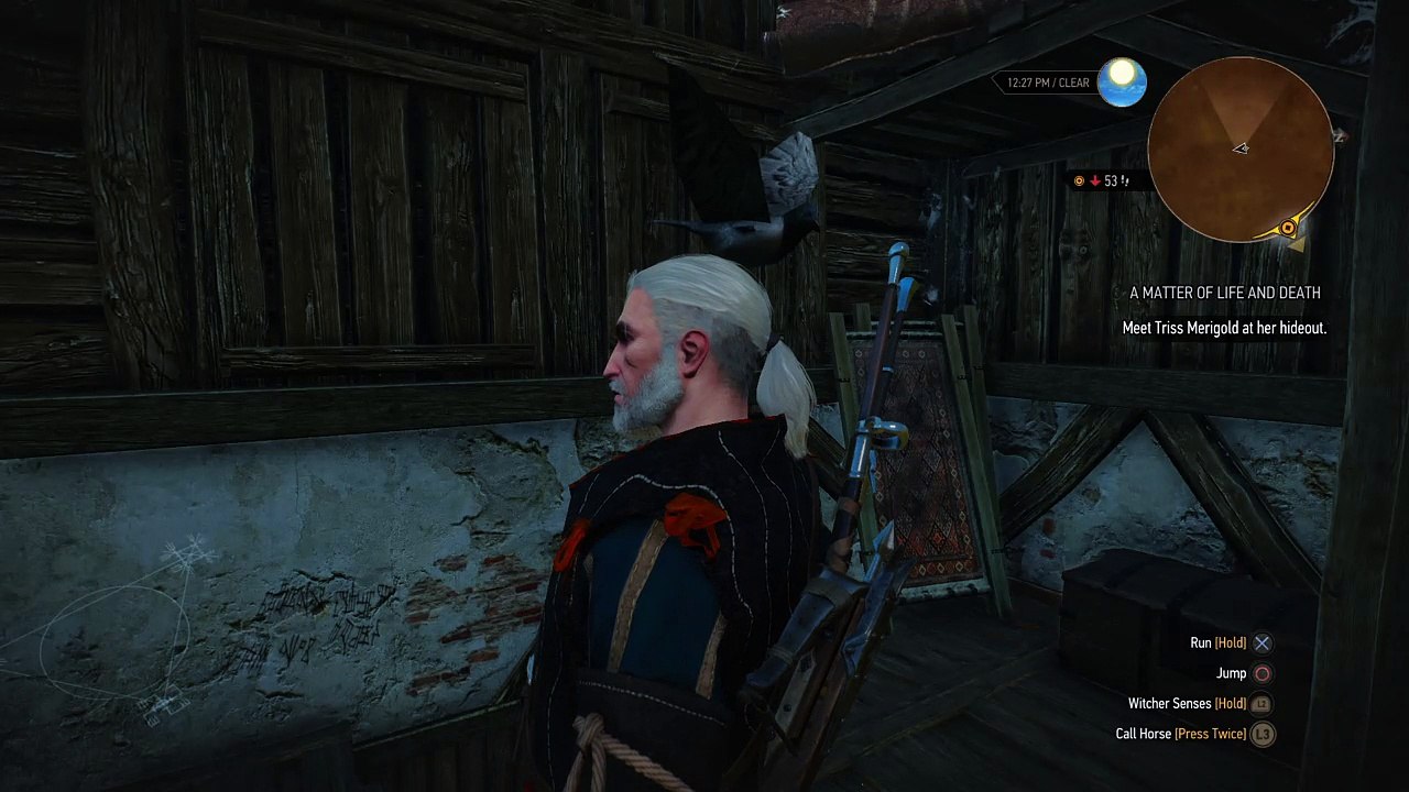 The Witcher 3: Wild Hunt Magic Bird