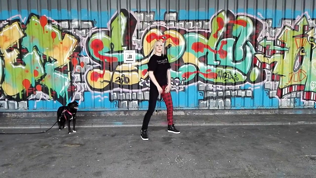 BTS - 뱁새 (Silver Spoon/ Baepsae) Dance Cover
