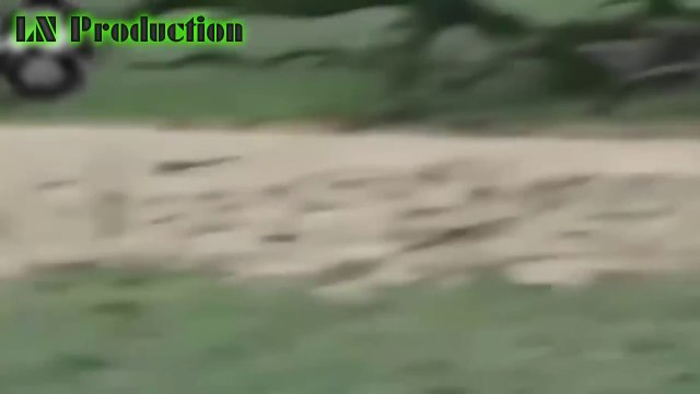 Biggest wild animal fights CRAZIEST Animals Attack Caught Crazy animal attack, funny animal #11