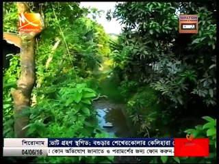 ছাতনী গণহত্যা দিবস