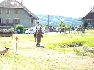 Passerelle + gué + reculer en main