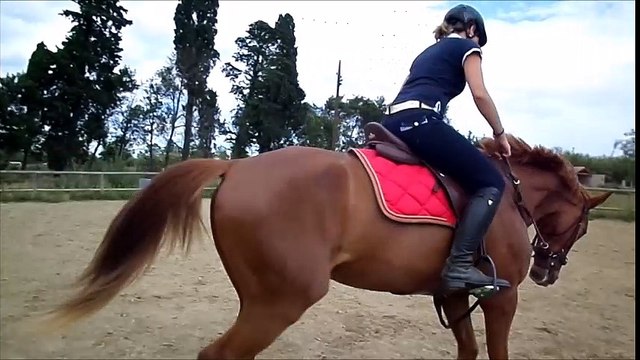 Bibi saut galop
