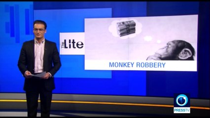 Monkey robs jewelry shop in southern India