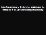 Read From Convergence to Crisis: Labor Markets and the Instability of the Euro (Cornell Studies