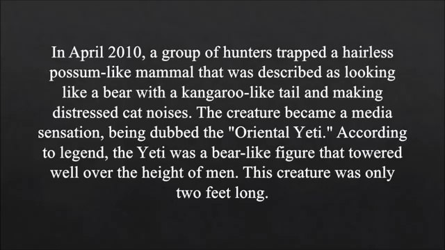 Top 10 Disturbing and Unexplained Photographs strange mysteries of the earth