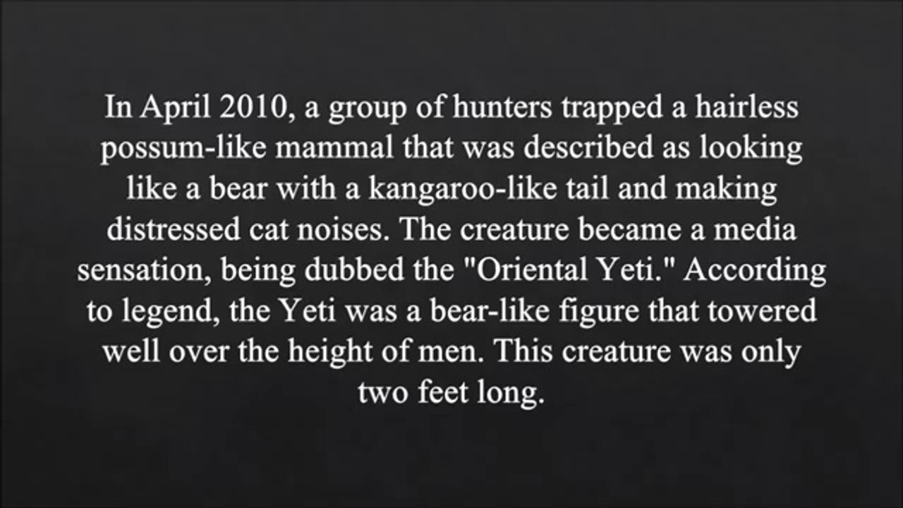 Top 10 Disturbing and Unexplained Photographs -- strange mysteries of the earth