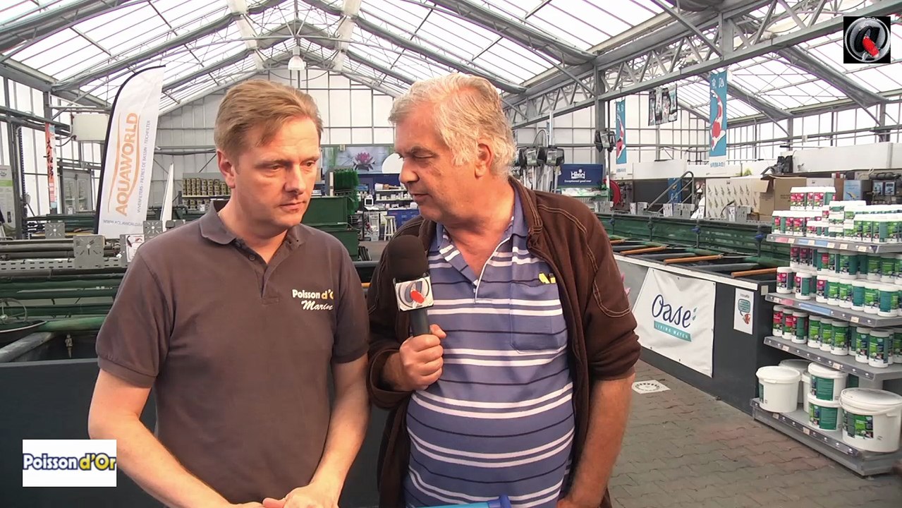 Poisson d'or les jumbo tosai 2016