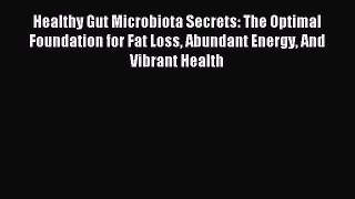 READ book  Healthy Gut Microbiota Secrets: The Optimal Foundation for Fat Loss Abundant Energy