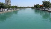 Adana Sulama Kanalında Tehlikeli Serinlik