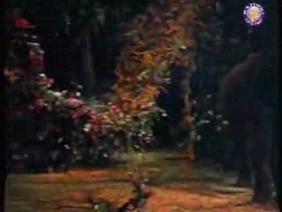 RAJ KUMAR/VIJAYANTHIMALA......SURAJ 1966/ROMANTC SONG