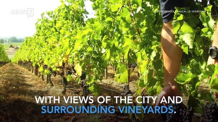 Poussez la porte de la Cité du Vin à Bordeaux