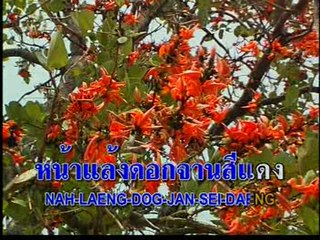 เพลง ดอกจาน - ศิลปิน พรศักดิ์ ส่องแสง - ชุด รวมเพลงดัง 25 ปี  2