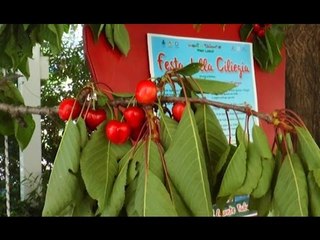 Festa della Ciliegia a Campoli del Monte Taburno (04.06.16)