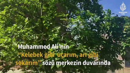 Muhammed Ali Merkezi'ne arılar yuva yaptı