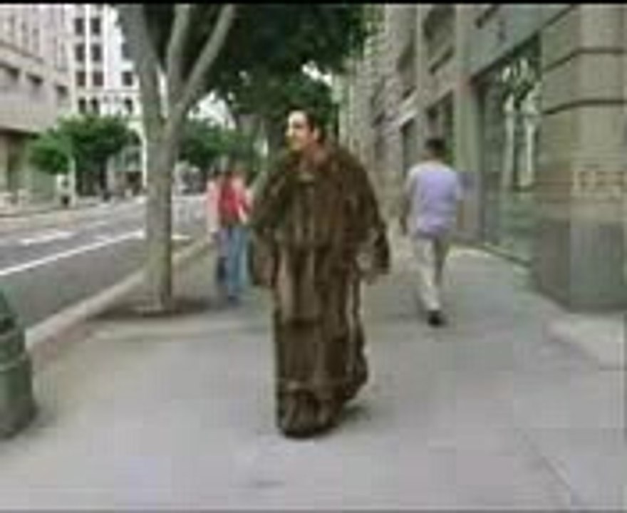 Anymal dress