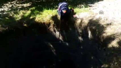 Kuyuya Düşen Yaban Domuzunu İtfaiye Kurtardı