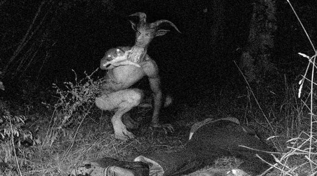 Terrifying And Creepy Photos Of Real Ghosts Photos Will Make You Believe In Ghosts