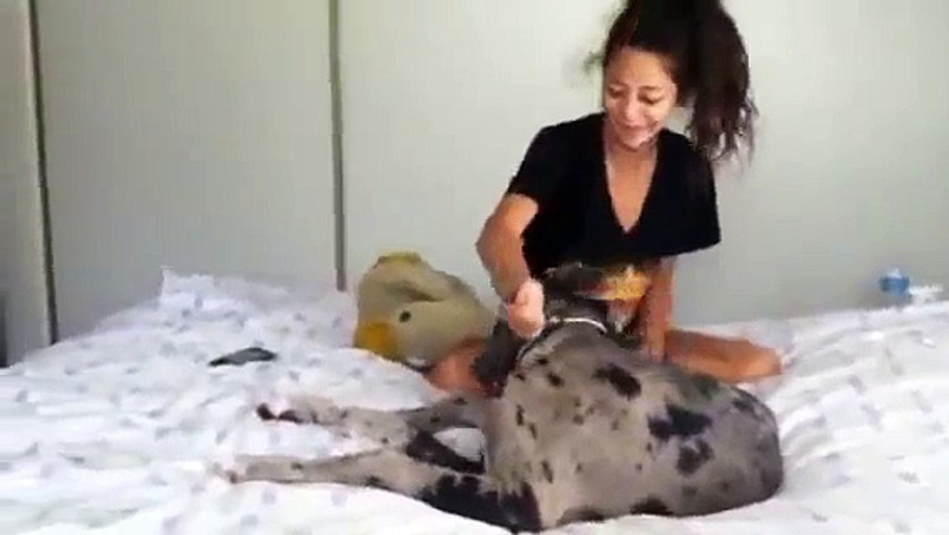 Mujer coje con su perro