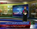 Badin mein Zarai Pani Ki Qilat, Kashtkar Pareshan.. SUCH TV