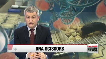 Korean scientists create new DNA scissors