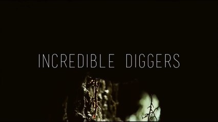 Удивительные Копатели / Incredible Diggers (2015) HD