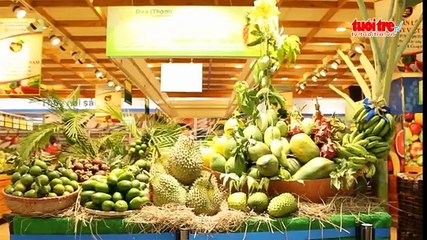 Tin nóng 24h ngày 6-6-2016- Nguy cơ mất an toàn trên sông Hàn từ tàu du lịch cải hoán