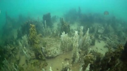 Van Gölü'nde 20 Metrelik Dikitler Bulundu