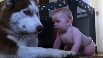 Kids and Dogs Love Each Other! Awwww...