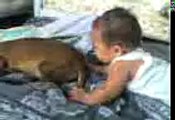 28 05 07 0647 baby & a sleeping dachshund VYLETTE