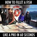 HOW TO FILLET A FISH LIKE A PRO IN 60 SECONDS