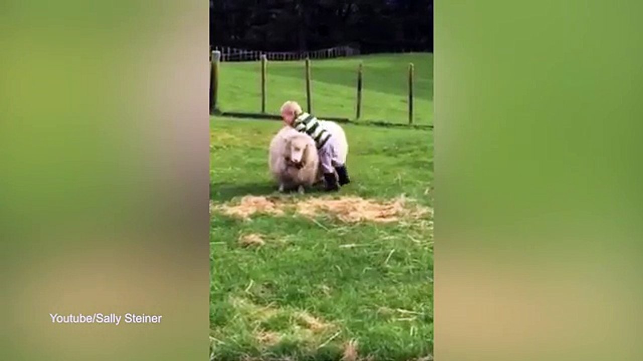 Funny video shows boxer