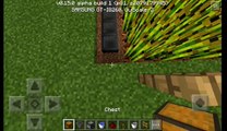 Minecraft: How To Make A Automatic Seed Farm-Minecraft Tutorial