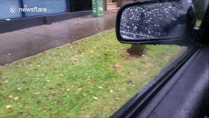 Heavy rain and flooding during Sydney storm