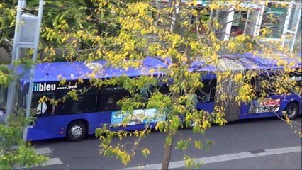 Mercedes Citaro G MKI N°324 Fil Bleu