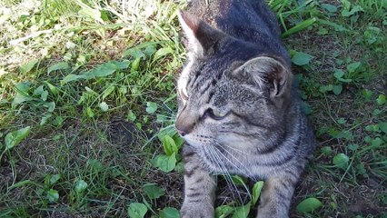 かぎ　スリム　