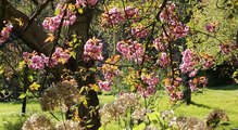 Secrets de Jardin en Essonne : 77 parcs et jardins à visiter