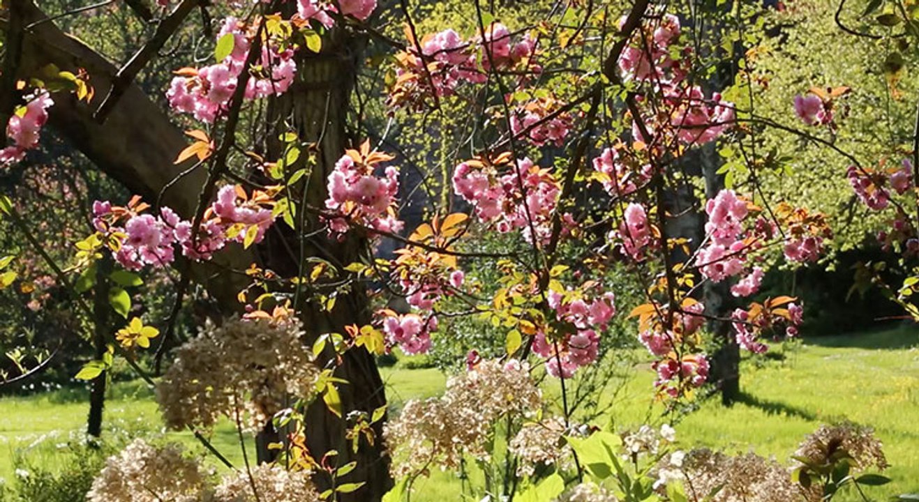 Secrets de Jardin en Essonne : 77 parcs et jardins à visiter